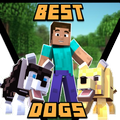Addon Best Dogs