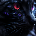 Black Wallpapers