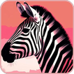 ”Zebra Wallpapers