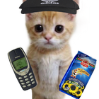 PoP ESP Cat icono