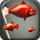 Fish Eating 3D aplikacja