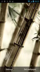 禅ライブ壁紙 アプリダウンロード