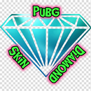 Free Skin Püubgg APK