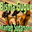 Bisma Gugur Wayang Kulit