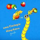 Zona Cacing io Ulang Rakus Guide biểu tượng