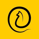 11pets: Hayvan Bakımı APK