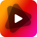 Video & Status Downloader PRO APK