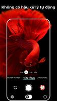 Máy ảnh Ultra Pixel bài đăng
