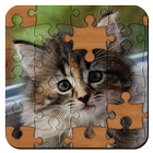 Puzzles icône