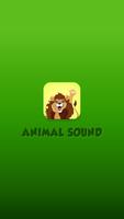 Animal Sound Affiche