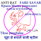 ANTI RAT icône