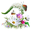 Relax and Music APK