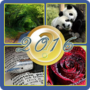 4 pic 1 word APK