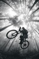 MTB Downhill Wallpapers पोस्टर