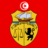 الحوكمة المباشرة