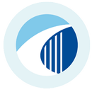 Bridge intranet APK