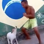 Figurinhas Animadas Memes Brasil Animated Stickers