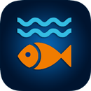 Fish's King APK