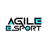 Agile Esports
