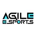 ”Agile Esports