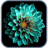 Super Amoled UltraHD Wallpaper