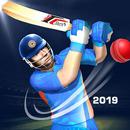 Cricket Championship League 3D APK