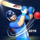 Cricket Championship League 3D APK