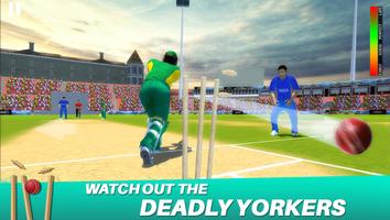 Cricket Championship League 3D capture d'écran 3