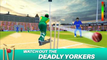 Cricket Championship League 3D 截圖 3