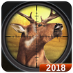 Safari Deer Hunt 2018