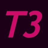 T3 Arena: Game Walkthrough ícone
