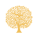엠트리글로벌 - MTREE GLOBAL APK