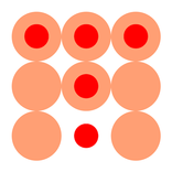 臨床検査技師 mtTest