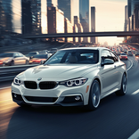 Fast Rush: Speed to the Max