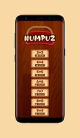 Poster Numpuz