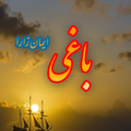 Baagi Novel By Eman Zara