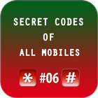 Secret Codes icon