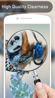 Magnifying Glass Magnifier Cam screenshot 1