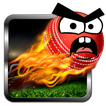 Angry Cricket Arcade Style