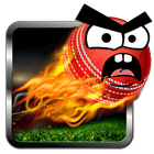 Angry Cricket 아이콘