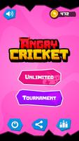 Angry Cricket 포스터