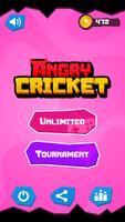 Angry Cricket poster