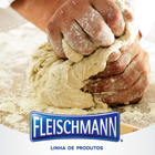 Fleischmann-icoon