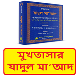 মুখতাসার যাদুল মাআদ ইসলামিক বই icon
