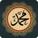 Kitab Rawi Maulid Al-Barzanji APK