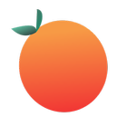 Your Food-icoon