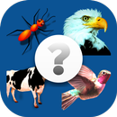 Guess The Animal, Guessing Game APK