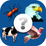 Guess The Animal, Guessing Game