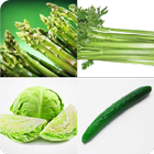Guess The Vegetable Name icono