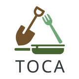 TOCA Platform icône